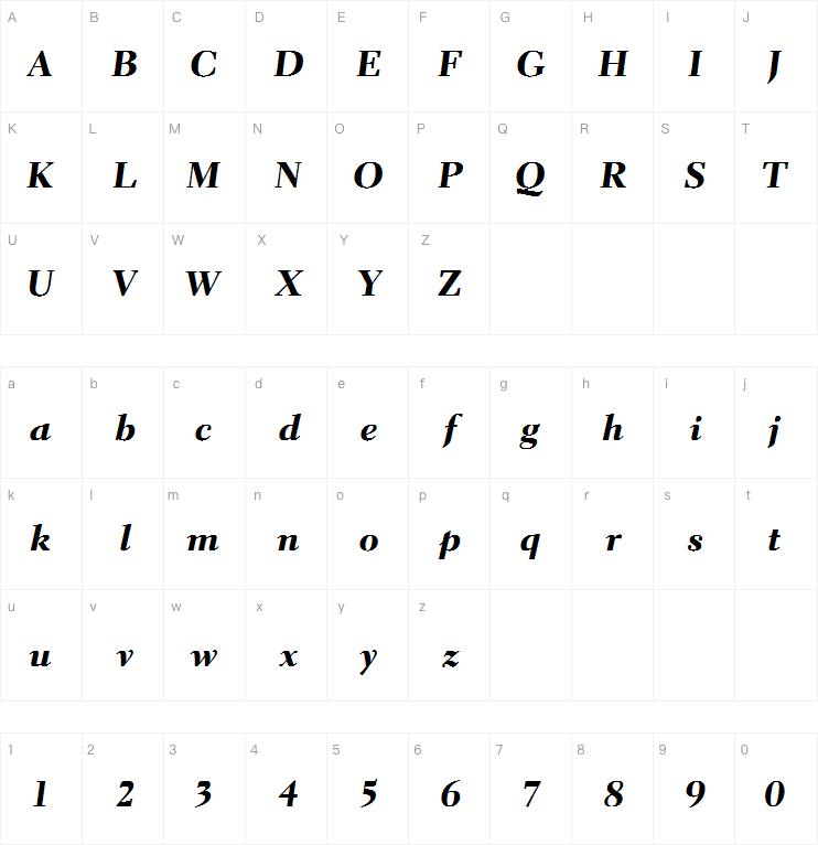 Parkinson Electra Pro Heavy Italic