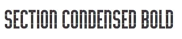 Section Condensed Bold