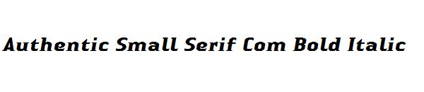 Authentic Small Serif Com Bold Italic