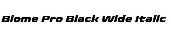 Biome Pro Black Wide Italic
