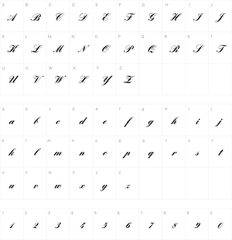 English Script Com Bold