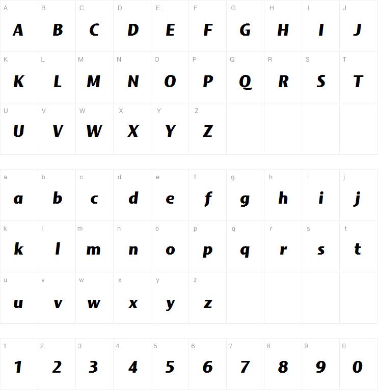 Mosquito Formal Black Italic