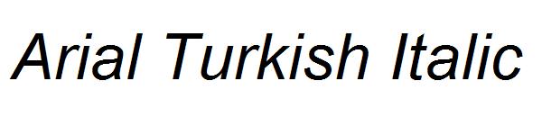 Arial Turkish Italic