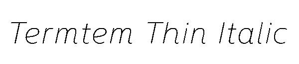 Termtem Thin Italic