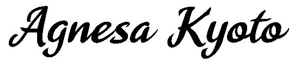 Agnesa Kyoto字体