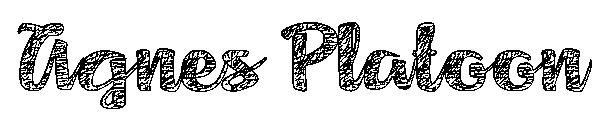 Agnes Platoon字体