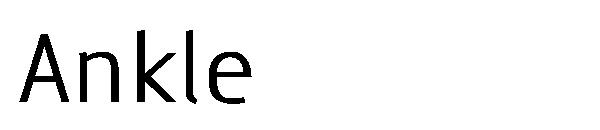 Ankle字体