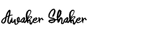 Awaker Shaker字体