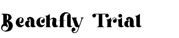 Beachfly Trial字体