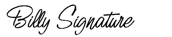 Billy Signature字体