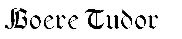 Boere Tudor字体