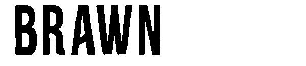 Brawn字体