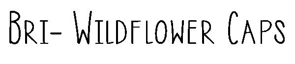 Bri- Wildflower Caps字体