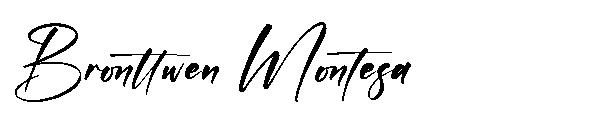 Bronttwen Montesa字体