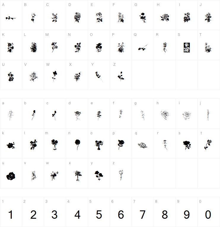 Buds and Blossoms字体