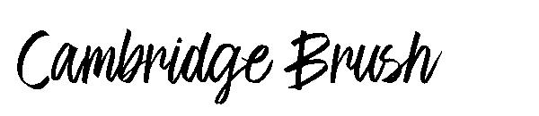 Cambridge Brush
