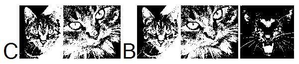 CatBats字体