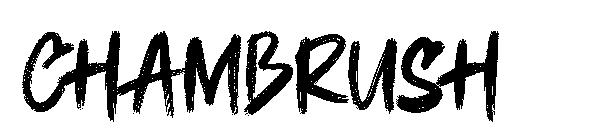 CHAMBRUSH