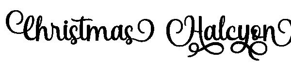 Christmas Halcyon