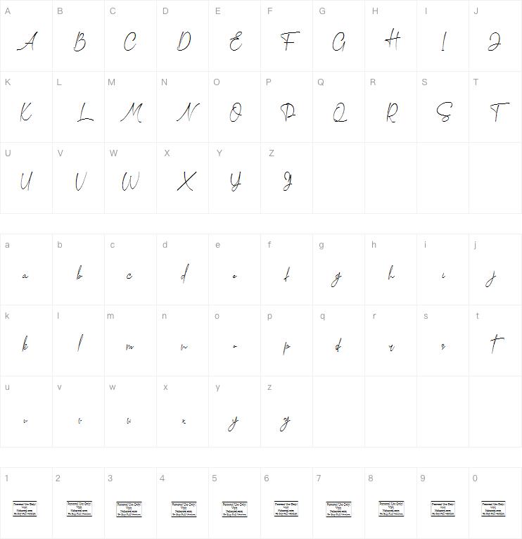 Confidently - Modern Signature Script字体