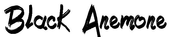 Black Anemone字体