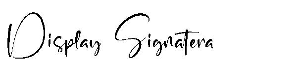 Display Signatera字体