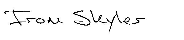 From Skyler字体