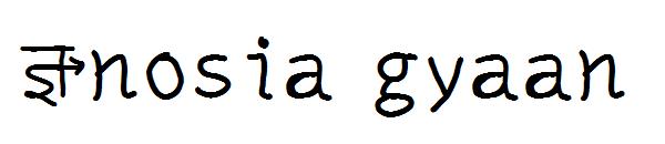Gnosia gyaan字体