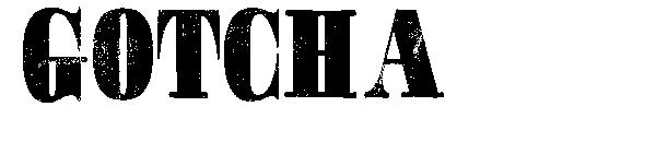GOTCHA字体