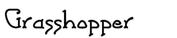 Grasshopper