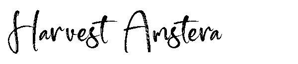 Harvest Amstera