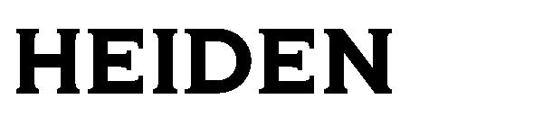 HEIDEN字体