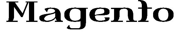 Magento字体