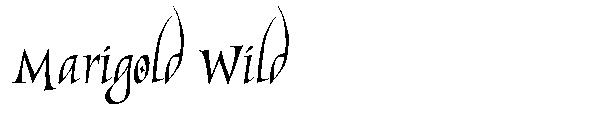 Marigold Wild字体