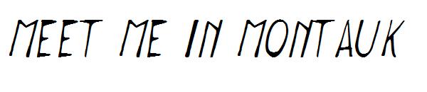 Meet me in Montauk字体