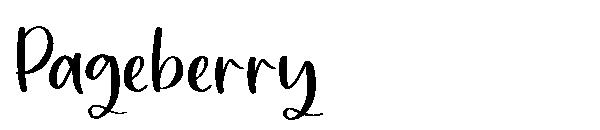 Pageberry字体
