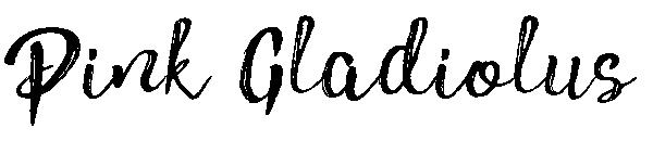 Pink Gladiolus