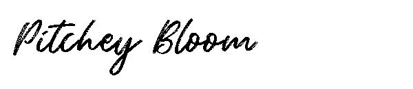 Pitchey Bloom字体