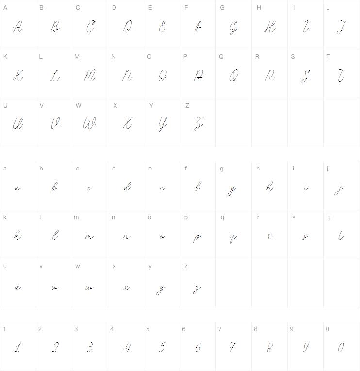 Placepage字体