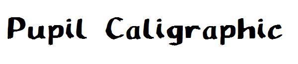 Pupil Caligraphic