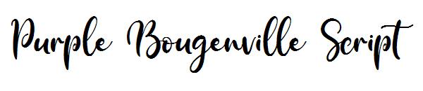 Purple Bougenville Script