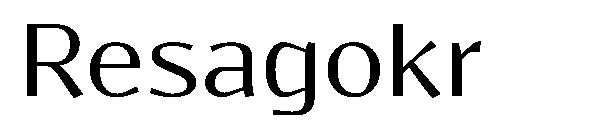 Resagokr字体