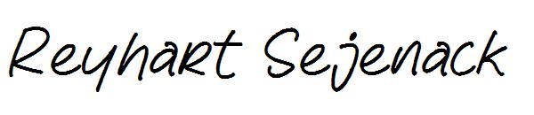 Reyhart Sejenack字体