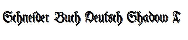 Schneider Buch Deutsch Shadow T