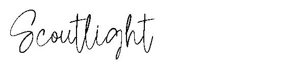 Scoutlight字体