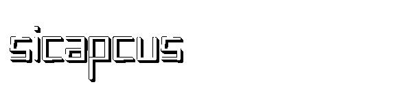 sicapcus
