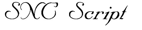 SNC Script
