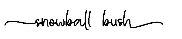 snowball bush字体