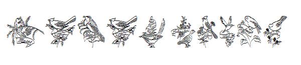 State Birds字体