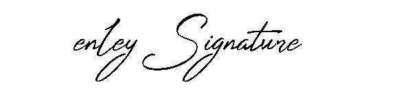 Stenley Signature字体